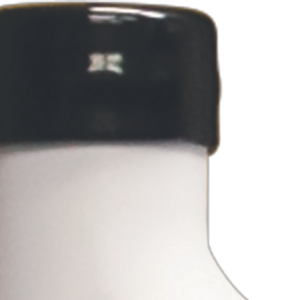 Blue Torrent Replacement Antigua Step Weight Caps- 2pk